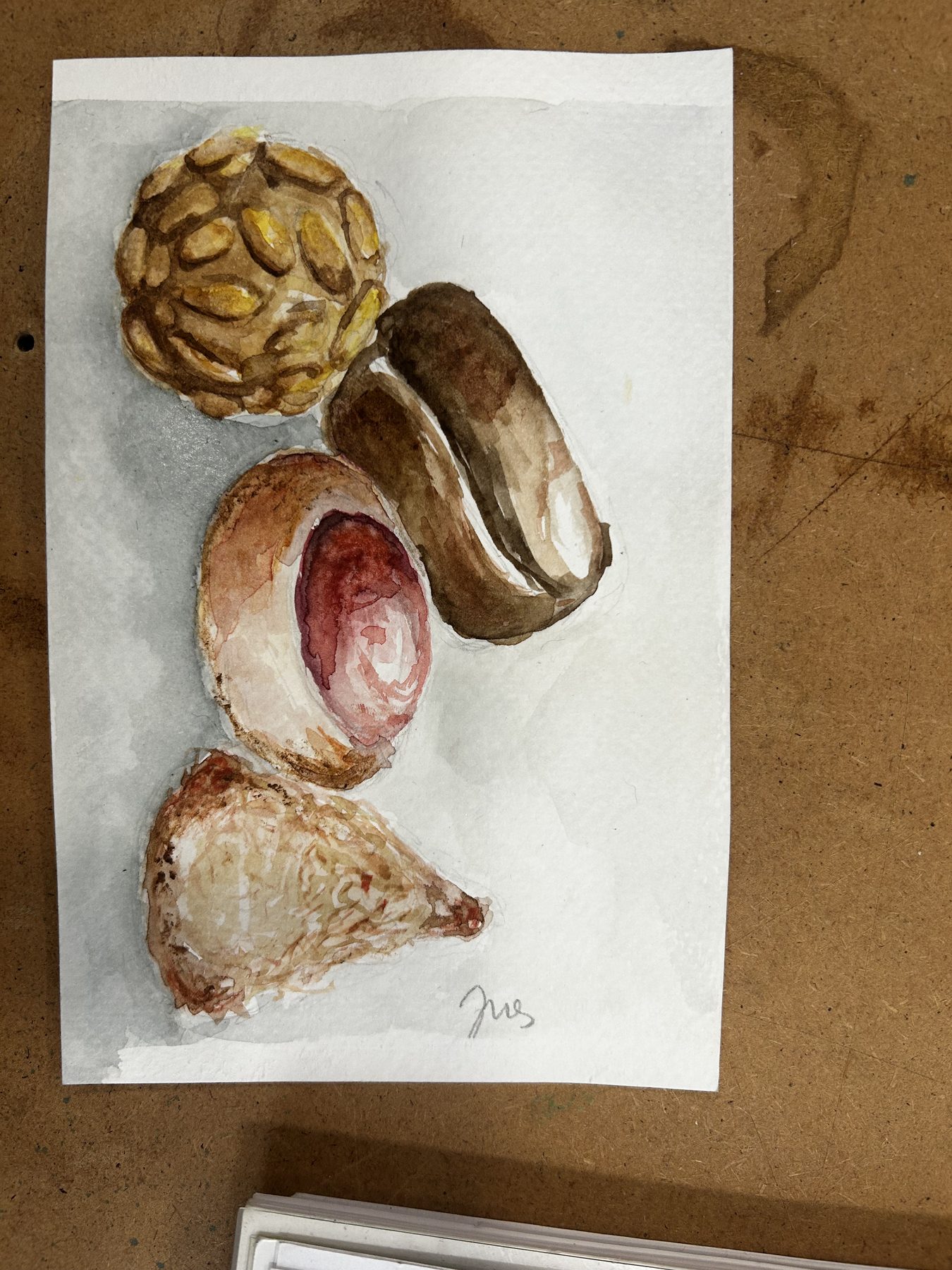 Estudio de dibujo y color realizado en LaCova